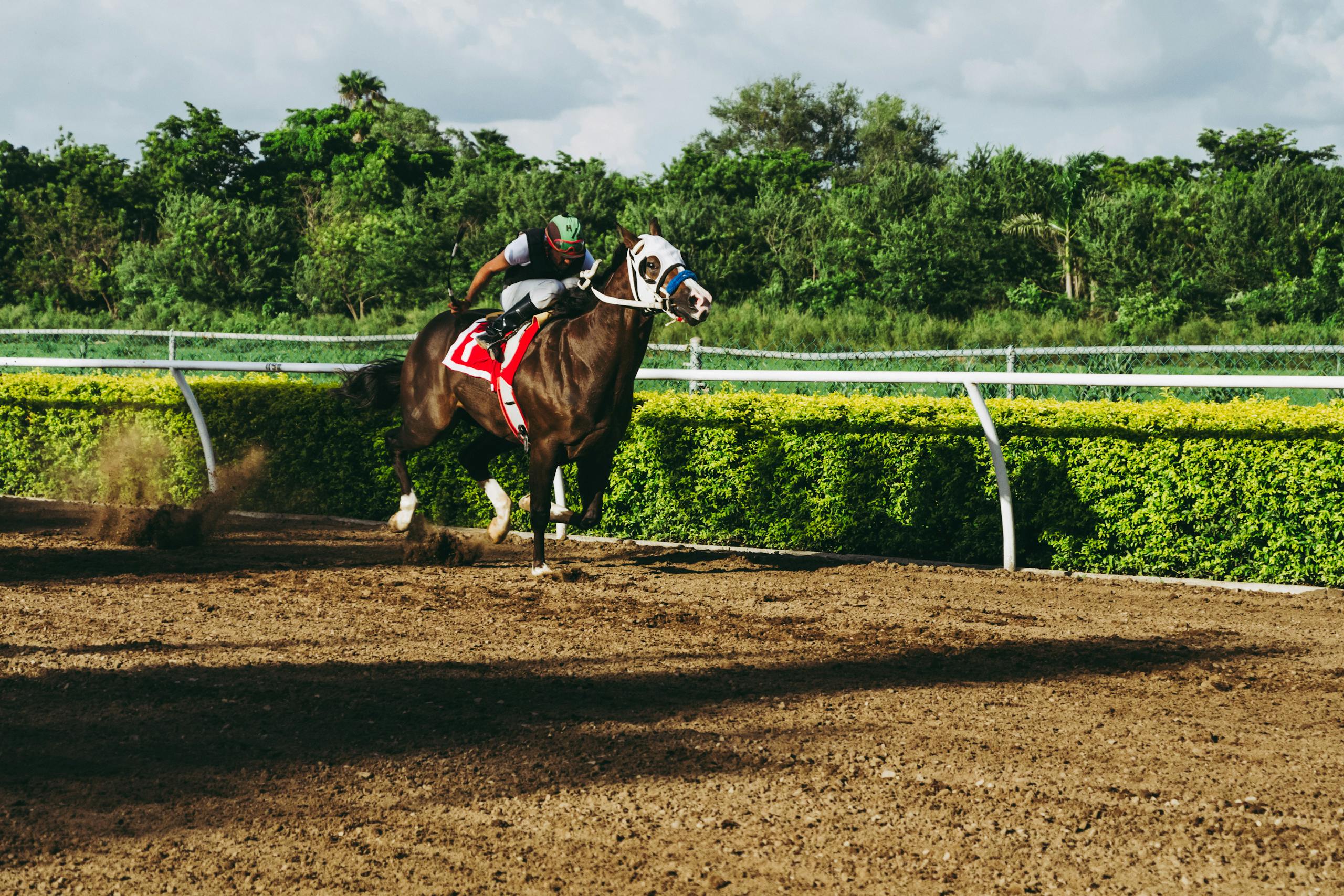 Photo by Jose Ricardo Barraza Morachis - Racing Fans Dev Exciting horse racing action with a jockey during the day outdoors on the track.